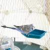 Periquito en el baño de pájaros en Geo jaula de pájaros con Gold jaula y la base de cerceta