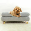 Perro sentado en Omlet Topology cama para perros con almohadilla y Gold hairpin feet