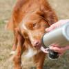 Perro lamiendo agua de las patas largas botella de agua para perros