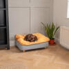 Perro salchicha tumbado en Omlet Topology cama para perros con topper de bolsa de frijoles y pies cuadrados de madera