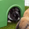 Zippi refugio para conejos verde