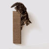 Gato arañando un rascador de cartón fijado a la pared