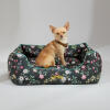Chihuahua sentado en una cama nido Omlet en el patrón de prado de medianoche