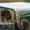 Dueña interactuando con su gato en un corral con cubierta transparente