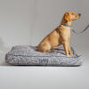 Perro en una cama para perros cojín de diseño con collar y correa a jueGo en diseño gris contorno