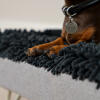 Teckel en una funda de microfibra gris para la cama lavable para perros Topology