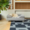 Perro durmiendo en Omlet Topology cama para perros con cojín gris y pies de horquilla blancos