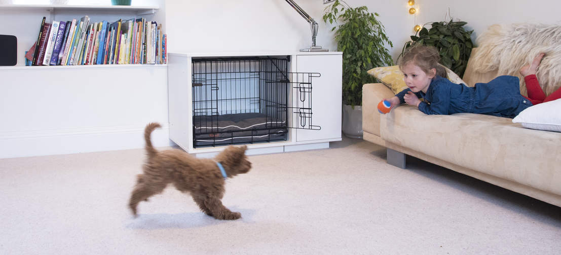 Según los expertos, el método más rápido y fiable para entrenar a un cachorro es usando una jaula