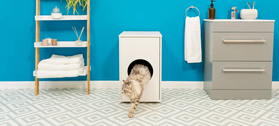Gato que sale de Omlet Maya muebles para la caja de arena del gato
