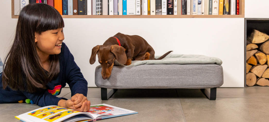 Perro investigando el libro de la niña mientras está en la cama para perros Topology de Omlet con funda acolchada y patas de raíl negras