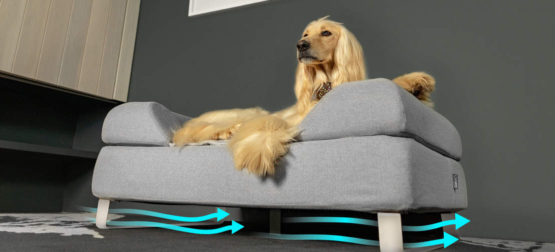 Perro tumbado en la cama para perros Topology de Omlet efecto sofá con patas de horquilla blancas con flujo de aire
