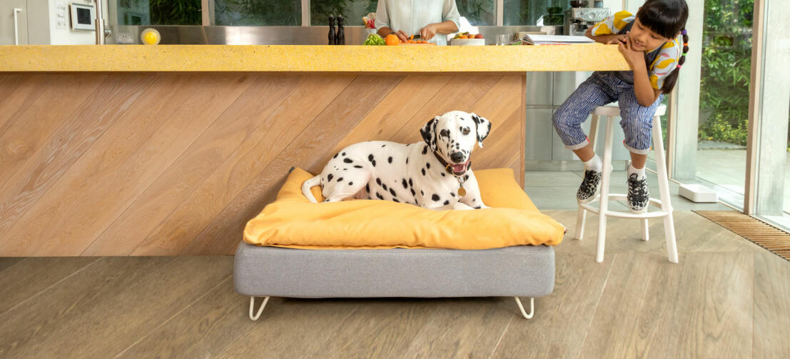Dálmata tumbado en la cama para perros Topology de Omlet con funda puff y patas de horquilla blancas