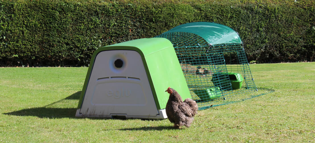 Gracias a su doble pared aislante, el gallinero Eglu Go mantiene a sus gallinas frescas en verano y calientes en invierno.