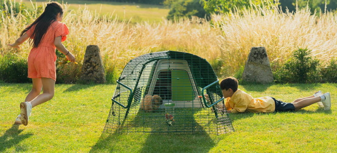Niños jugando en el jardín e interactuando con su conejo a través de la malla del corral.