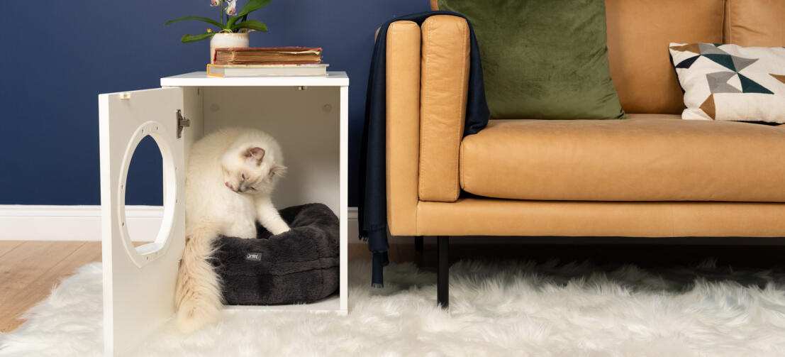 Lindo gato blanco esponjoso sentado en el interior de Maya casa del gato de interior en un negro Maya dona cama de gato junto al sofá