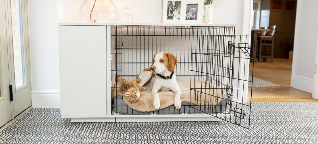 Perro tumbado en la cama para perros de espuma viscoelástica Topology colocada dentro de la jaula para perros Fido Studio