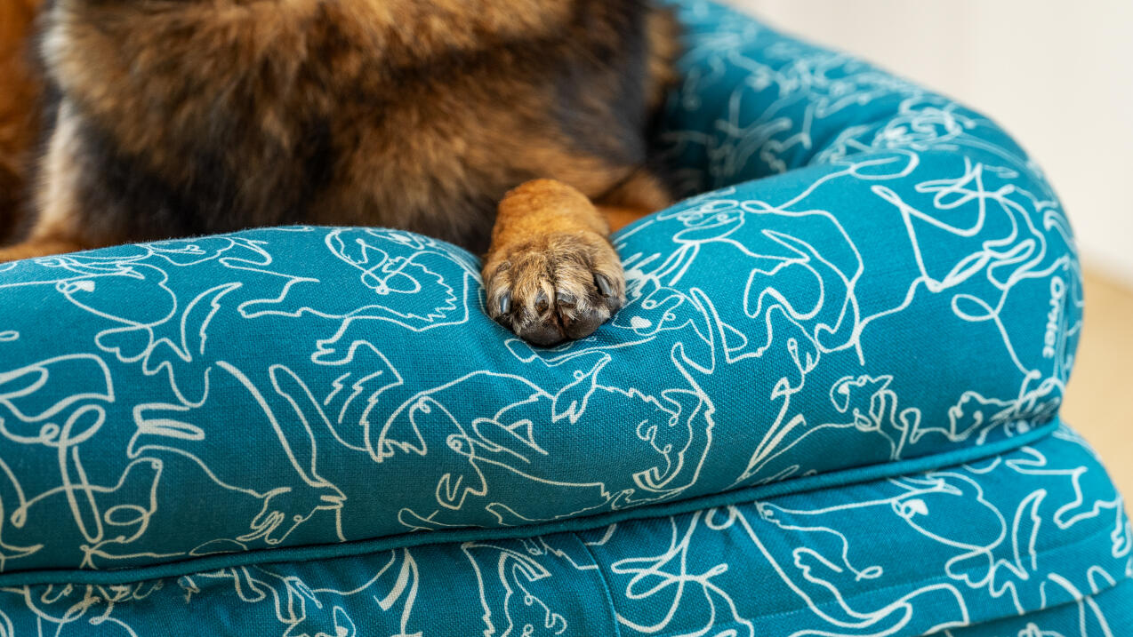 Detalle del cojín cama con estampado de perro doodle azul