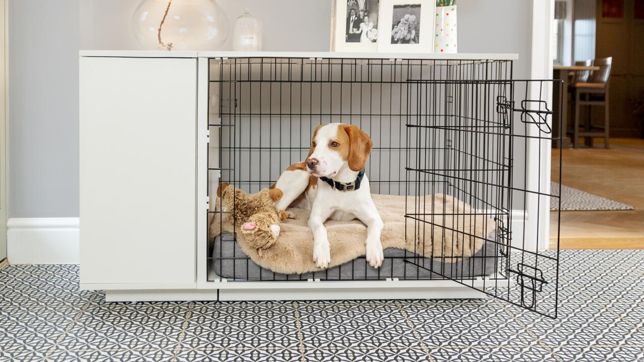 Un beagle tumbado en una cama para perros de Topology en una jaula