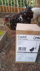 El soporte de Golosinas para pollos Caddi de Omlet.