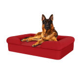 Perro sentado en la cama para perros de espuma con memoria de color rojo merlot