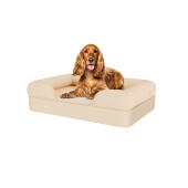 Perro sentado en la cama de espuma de memoria beige mediana para perros