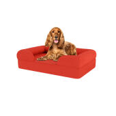 Perro sentado en una cama para perros de espuma con memoria de color rojo cereza