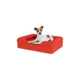 Perro sentado en una pequeña cama de espuma de memoria roja para perros