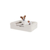 Perro sentado en una pequeña cama de espuma de memoria blanca para perros