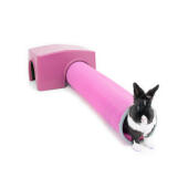 Conejo púrpura Zippi refugio y túnel de jueGo