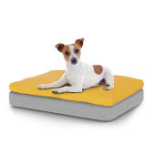 Perro sentado en el pequeño Topology cama para perros con bolsa de frijoles topper