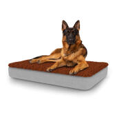 Perro sentado en la gran cama para perros Topology con topper de microfibra