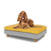 Perro pequeño sentado en la cama para perros mediana Topology con bolsa de frijoles y pies redondos de madera