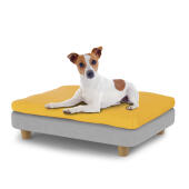 Perro pequeño sentado en la pequeña cama para perros Topology con bolsa de frijoles y pies redondos de madera