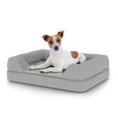 Perro sentado en la pequeña cama para perros Topology con topper de almohadilla