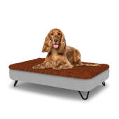 Perro sentado en una cama para perros mediana Topology con topper de microfibra y patas de horquilla de metal negro