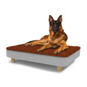 Perro sentado en una gran cama para perros Topology con topper de microfibra y patas redondas de madera