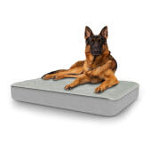 Perro sentado en la gran cama para perros Topology con topper acolchado
