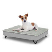Perro sentado en una pequeña cama para perros Topology con topper acolchado y patas de horquilla de metal negro