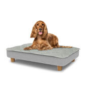 Perro sentado en una cama para perros mediana Topology con topper acolchado y patas redondas de madera