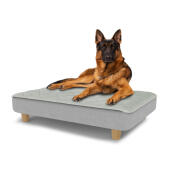 Perro sentado en una gran cama para perros Topology con topper acolchado y patas redondas de madera