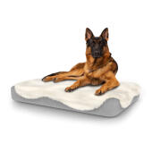 Perro sentado en la gran cama para perros Topology con topper de piel de oveja