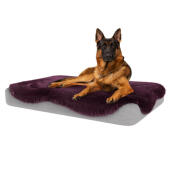 Perro sentado en la gran cama para perros Topology con topper de piel de oveja púrpura damson