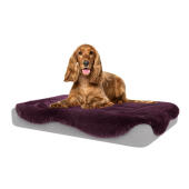 Piel de oveja púrpura para Topology cama para perros