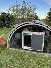Puerta automática para pollos