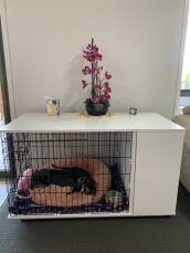 Un Omlet Fido Studio cajón para perros con algunas plantas en la parte superior.