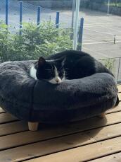 Un gato descansando cómodamente en su cama gris con forma de donut