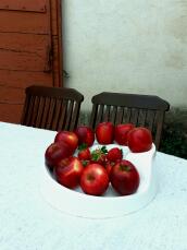 Manzanas sobre un huevo en una mesa en un jardín