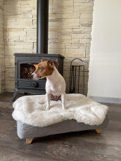 Perro sentado en Omlet Topology cama para perros con topper de piel de oveja y pies cuadrados de madera