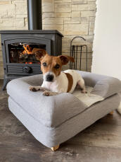 Perro sentado en Omlet Topology cama para perros con cojín gris y pies cuadrados de madera