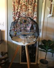 Una jaula de pájaros Omlet Geo en casa de alguien